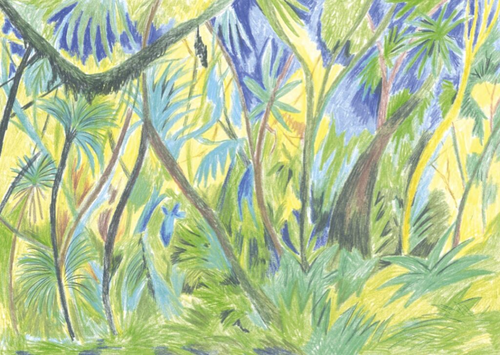 Rezension „Urwaldtrip“ von Katja Spitzer, Kunstanstifter Verlag