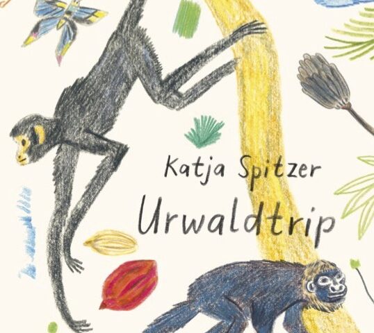 Rezension „Urwaldtrip“ von Katja Spitzer, Kunstanstifter Verlag